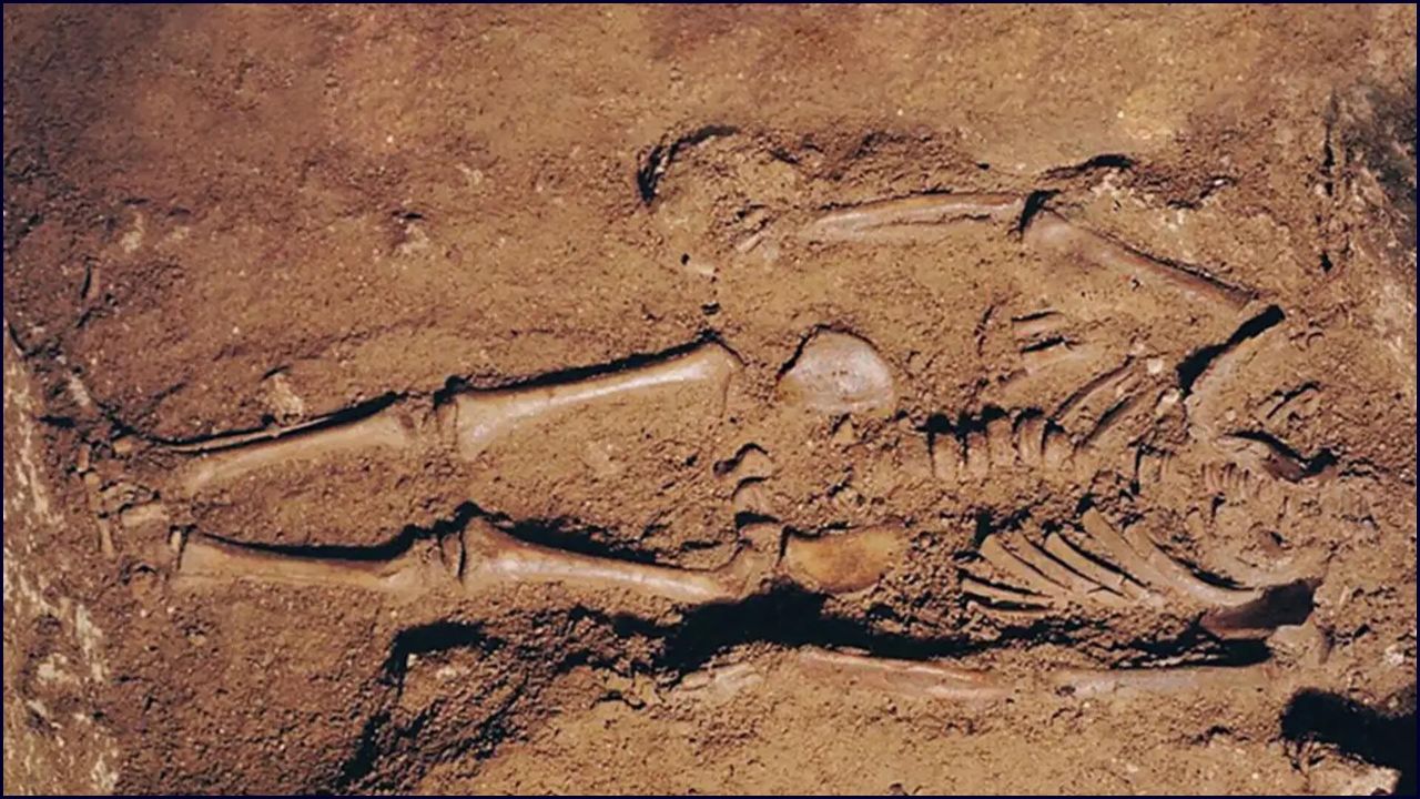 Niños Enterrados Con Cinturones De Guerrero En Una Necrópolis Italian