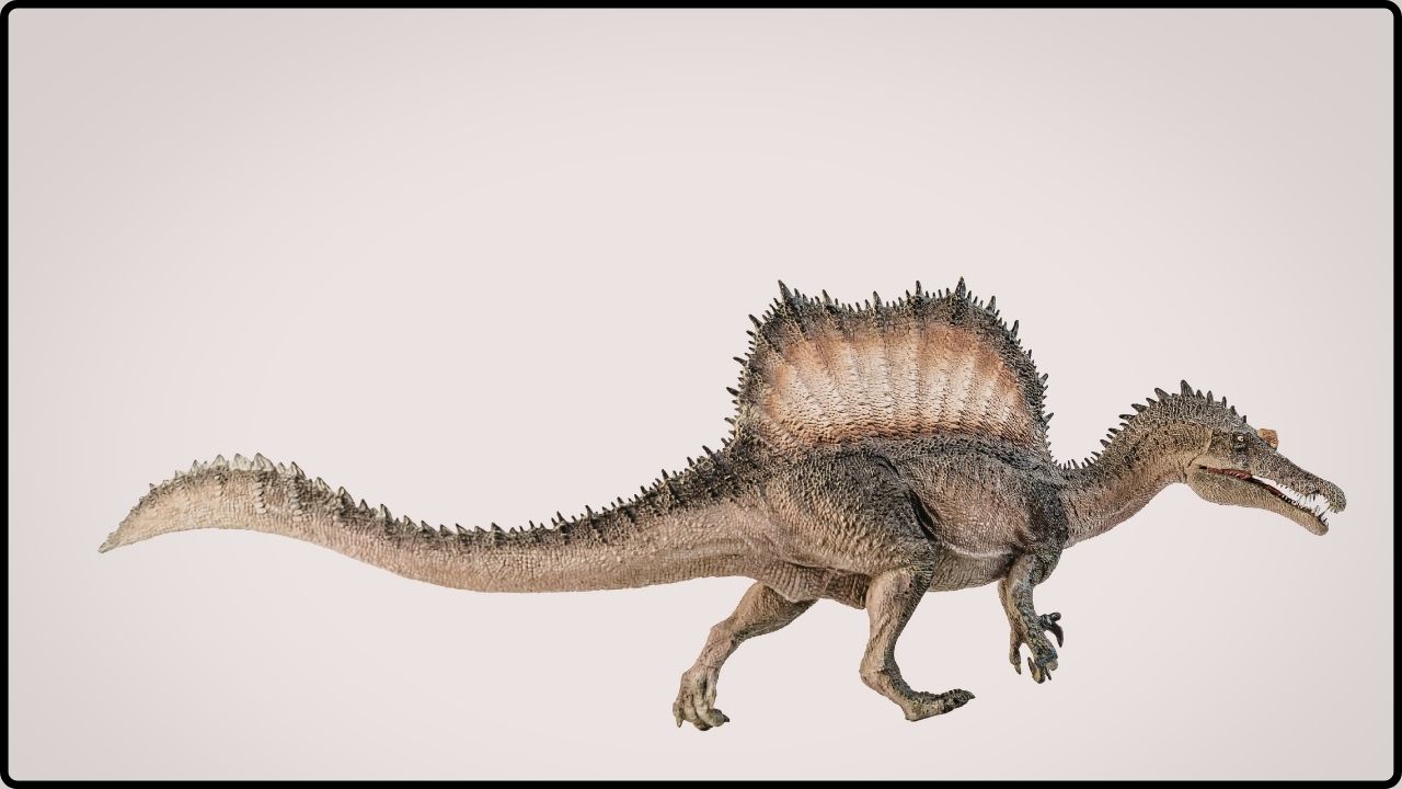 Spinosaurus De 95 Millones De Años Tenía Una Cresta Única Y Cazaba En Ríos Del Sahara
