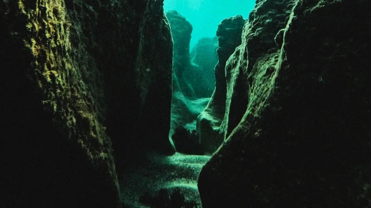 Bosques Habitables En El Mundo Perdido Bajo El Mar Del Norte