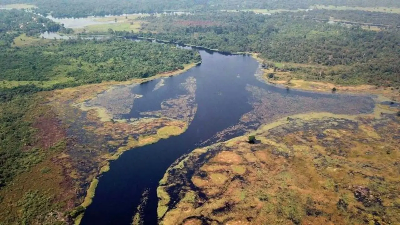 Ríos Y Lagos Negros Del Congo Están Liberando Carbono