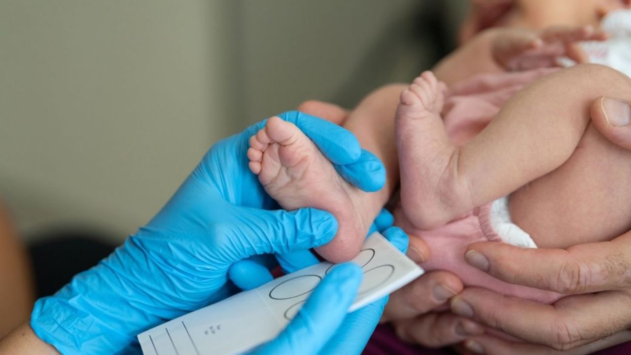 Los pronatalistas quieren más bebés